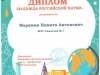 Маринин Н. (диплом)-1